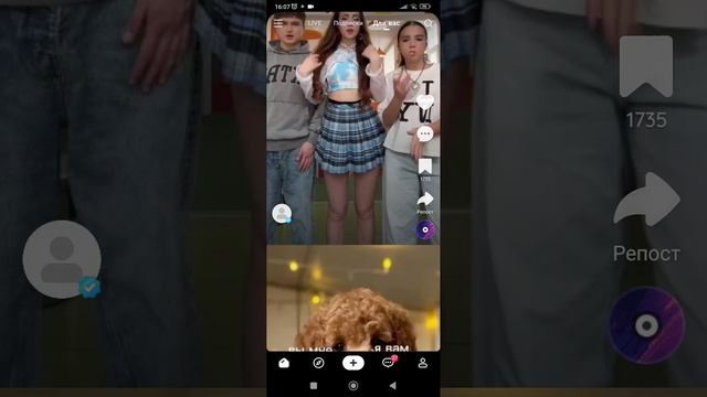 смотрю видео в like и подписываюсь на всех смотреть онлайн