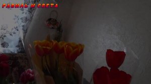 Казахстан🇰🇿 КАК ЖИВУТ ЛЮДИ В СТЕПИ КАЗАХСТАНА. Куда пропала Света!!! #деревня #жизньвдеревне