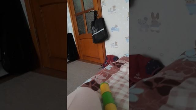 морская свинка Тэдик!!! смотреть онлайн