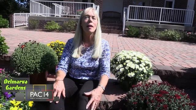 Delmarva Gardens || Oct 2019 Edition смотреть онлайн