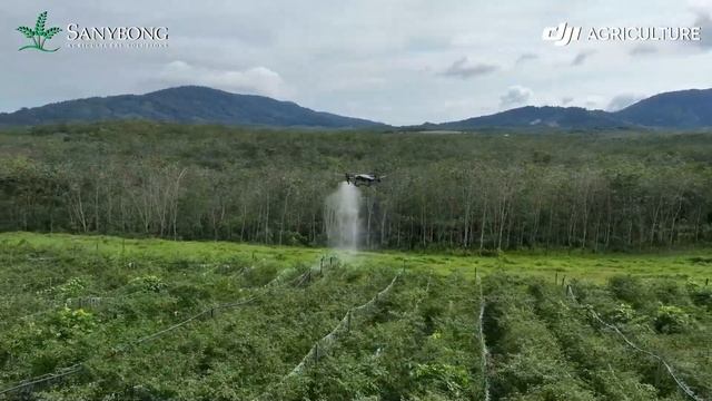 𝗗𝗝𝗜 𝗔𝗴𝗿𝗮𝘀 𝗧𝟮𝟬𝗣 𝗦𝗲𝗺𝗯𝘂𝗿𝗮𝗻 𝗦𝗮𝘆𝘂𝗿𝗮𝗻 🌱🌿☘️ смотреть онлайн