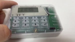 Индикаторное устройство для счетчиков КВАНТ ST1000-9 и ST2000-12 (Пульт для счетчиков КВАНТ)