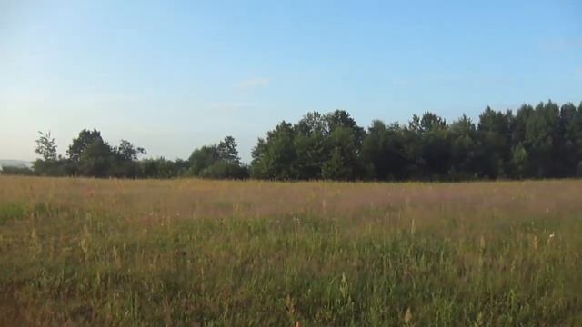 красота раннего утра на природе смотреть онлайн
