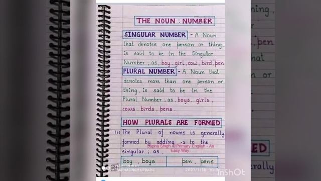 Noun Singular and pural #practicepractice #student смотреть онлайн