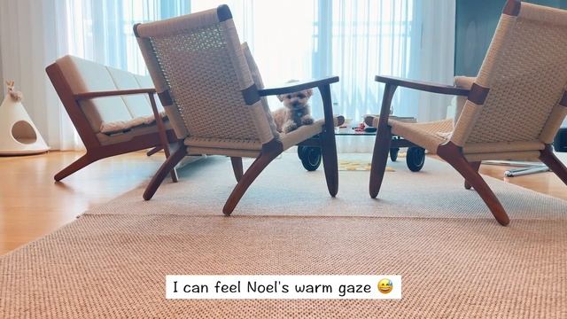 Salmon Steak Rice Bowl- Maple Garlic Sauce Will Change Your Life🍁