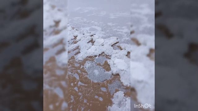 Суровый морской пляж. #200354 смотреть онлайн