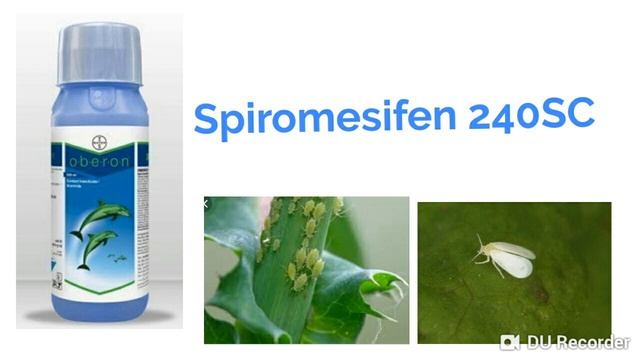 Bayer Oberon || Oberon Insecticide ||Mite and Whitefly Controller || Spiromesifen 240sc. смотреть онлайн