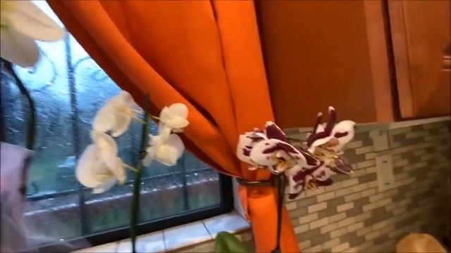 #iphone11unboxing, #iphone11pro, #howto, #sallykasper l IPHONE 11 - HOW TO USE THE CAMERA 2020 смотреть онлайн