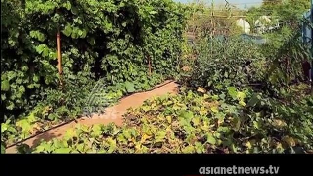 Organic Farming in UAE by Vayalum Veedum | Gulf Roundup 1 Jan 2016 смотреть онлайн