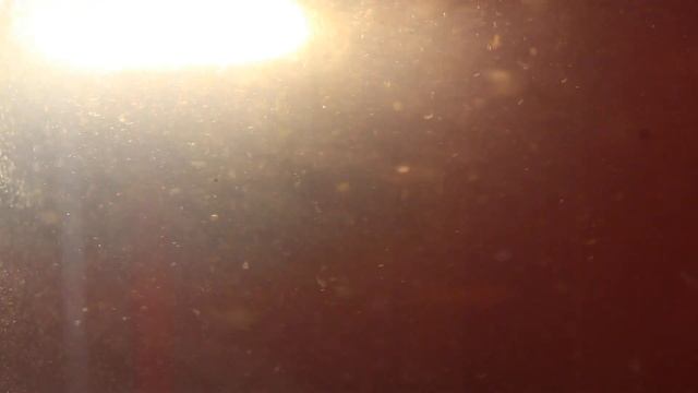 Manta Ray : Maelstrom [Official Music Video] смотреть онлайн