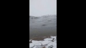 ловля трески на Баренцевом море ура-губа 15.04.2024- 22.04.2024