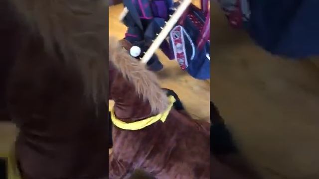 Freya und Yasha im Krämers Mega Store Heidesheim смотреть онлайн