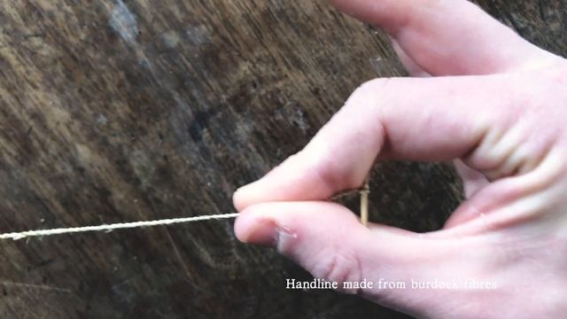 February Plant Walk 🌳 - Lichen, Blossom & Invasive Trees