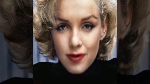 У котов есть хвост #funny #comedy #humor