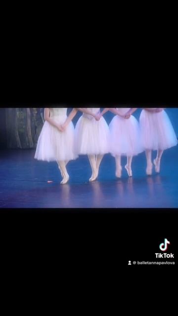 Perfect sync, Dance of the Little Swans 🦢🩰 #pointeshoes #ballet #swan #littleswans #swanlake смотреть онлайн