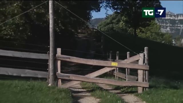 È stata abbattuta l'orsa KJ1 смотреть онлайн