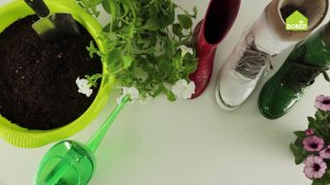Кашпо из старых сапог. Как сделать кашпо для дачи своими руками. Сажаем цветы в сапоги