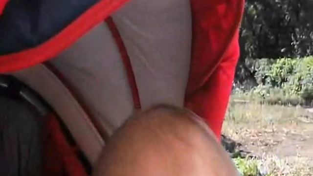 Слива смотреть онлайн