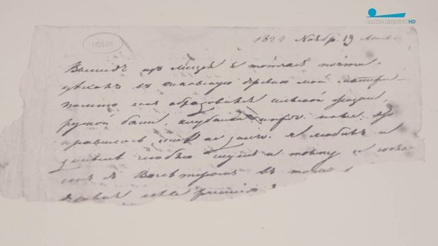 О чём писал в своих дневниках А. С. Пушкин?