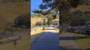 Рай на Земле - это Тауранга. Новая Зеландия. New Zealand 🇳🇿. Tauranga.