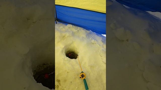 я на рыбалке смотреть онлайн