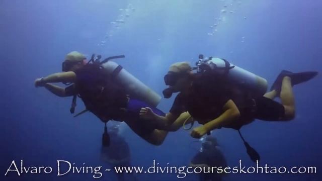 Finland Team Alvaro Diving Tablet and Smartphones - Koh Tao 2014