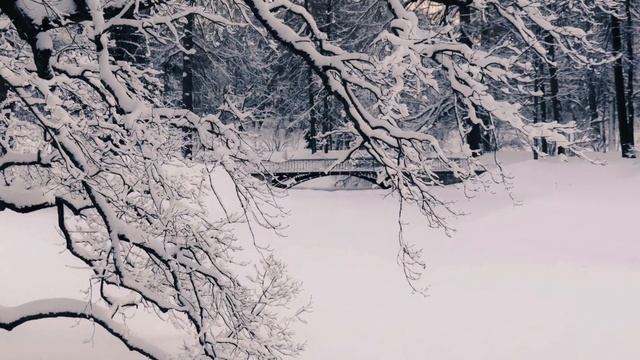 993.🎼. CHEPIKK feat. Холла - «Не люби меня» смотреть онлайн