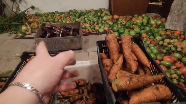 💪ВЫКОПАЛИ 🥕МОРКОВЬ/👍Купили🥔 КАРТОШКУ на зиму/🤤Спонтанные ШАШЛЫКИ/ смотреть онлайн