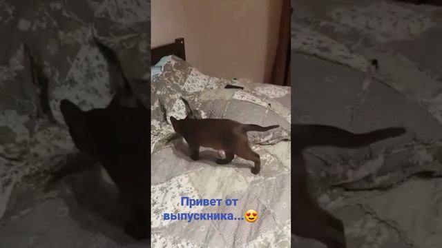 26 марта 2023 г. смотреть онлайн