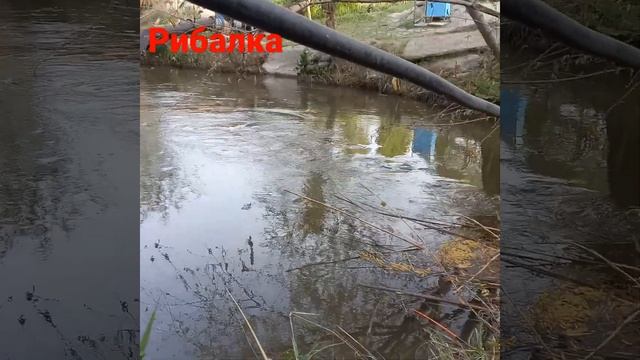 7 апреля 2022 г.