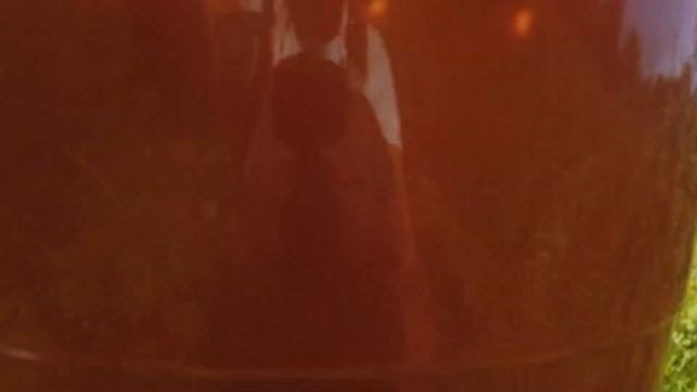 Деревня.Лето.Жара. Собираю полевую клубнику. смотреть онлайн