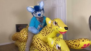 💙FURRY INFLATABLE - furry and two inflatable cheetahs