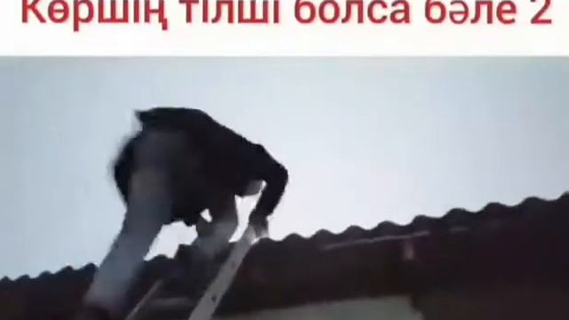 Коршин тилши болса жаман 🤔🤔 смотреть онлайн