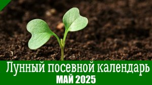 Подробный ПОСЕВНОЙ КАЛЕНДАРЬ НА МАЙ 2025. Что и когда посеять в мае по лунному календарю