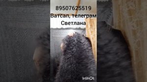 Пуховые косынки