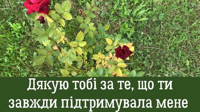 Привітання з Днем Матері! День Матері 2023! Вітаю мамо, матусю! 14 травня День Матері! Вітання мамі смотреть онлайн