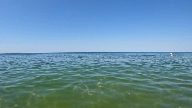 Дельфины на пляже Тортуга ближняя. Витязево.