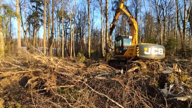 работа техники после спила леса смотреть онлайн