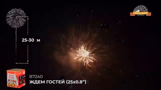 Салют "Ждем гостей" смотреть онлайн