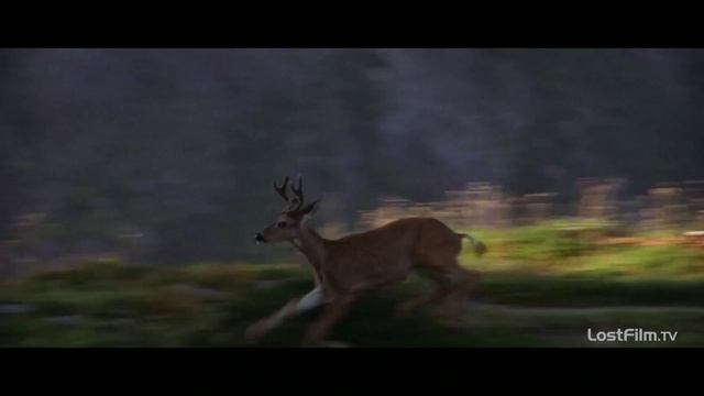 Охотник на оленей
Озвученный трейлер фильма.