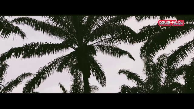 Neon babilan || Cover agus klau смотреть онлайн