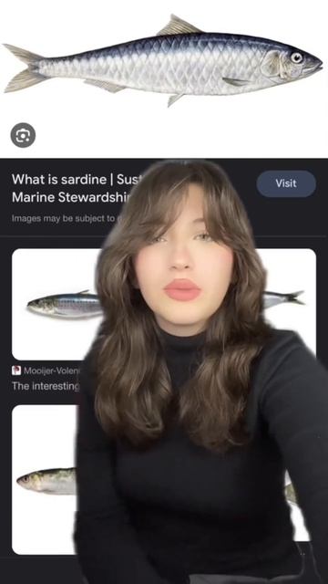 if im wrong or left anything out, tell me! #sharks #shark #marinebiology #fyp #marinelife #shorts смотреть онлайн