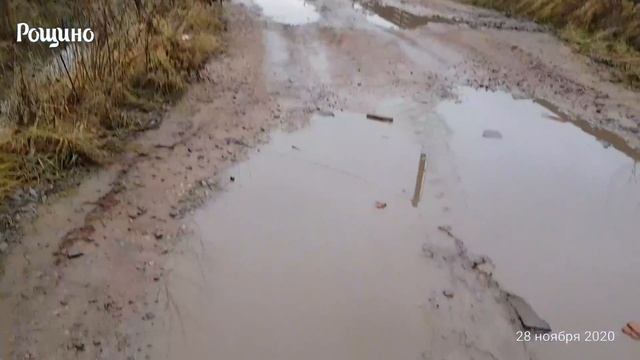 Поездка в Рощино смотреть онлайн