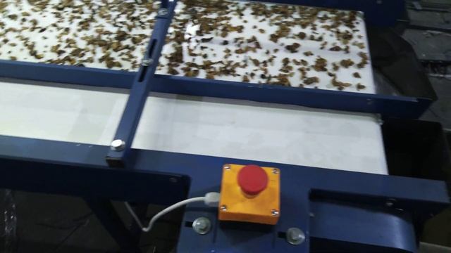 конвейер инспекционный смотреть онлайн