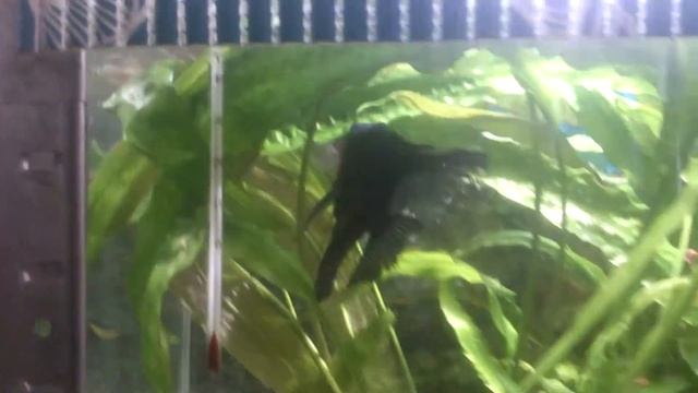 Первое видео за долгое время смотреть онлайн