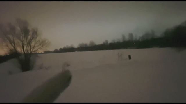 Нежданная лисица на манок. Охота на лисицу с манком. смотреть онлайн