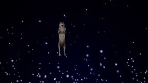 ich will nicht 5 min // dancing wolf // танцующий волк #танцующийволк #ремикс #music #dancingwolf