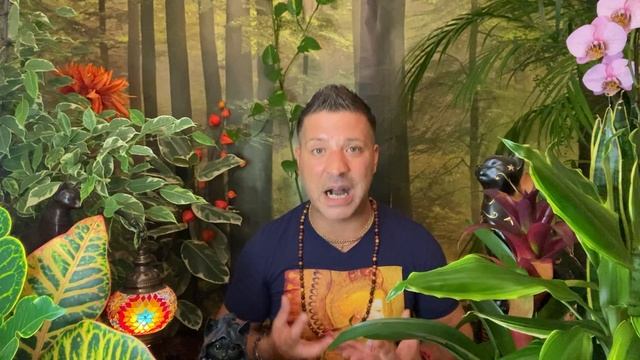 LEO October 2021 ⭐️ OMG! YOU NEED TO KNOW THIS! | Nice Twist | BIG Reward & LOVE Leo Horoscope Taro