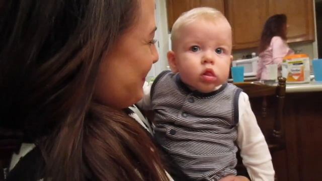 2014 HIGHLIGHTS | Magnolia Rose смотреть онлайн