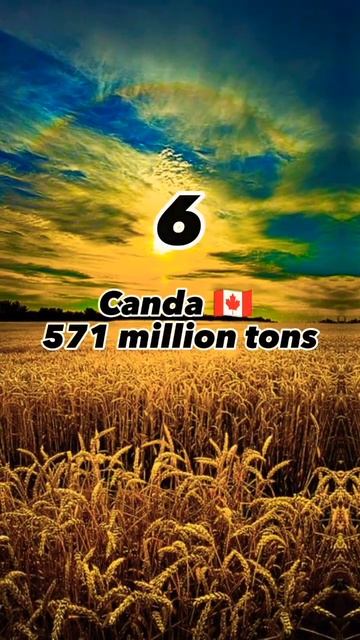 Top 10 largest Wheat 🌾 production countries #shorts#youtubepartner #worldinfor смотреть онлайн